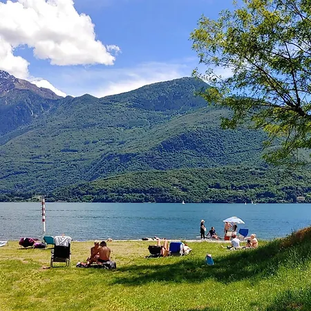 Argentina Stazzona